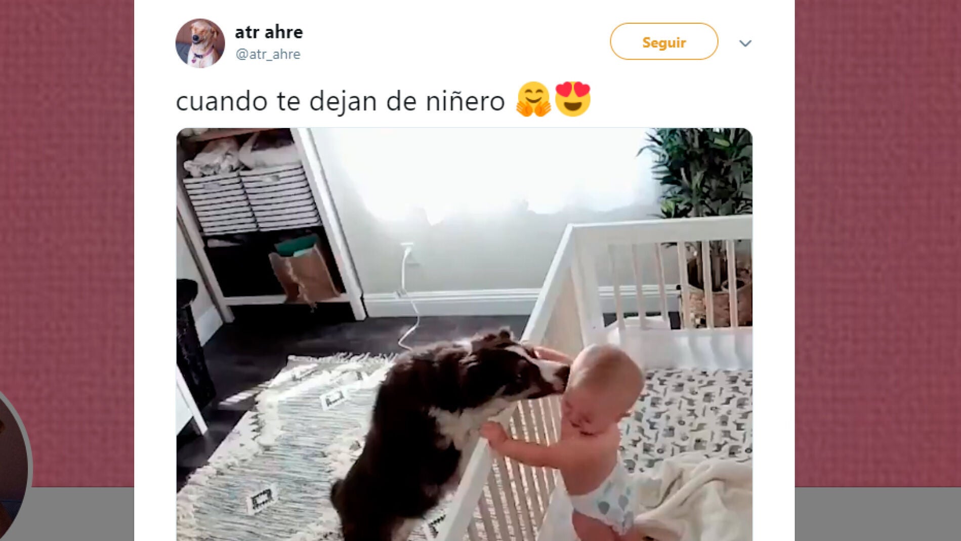 Tweet viral que muestra el adorable momento entre el beb&eacute; y su perro