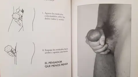 Marionetas del pene: el cerebro Marionetas del pene: el cerebro