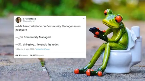 Los mejores tuits de @Formalito_el Los mejores tuits de @Formalito_el