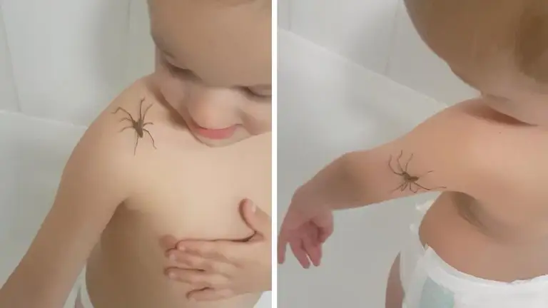 Bebé juega con una araña