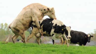 Motivos que quitan las ganas de sexo en la primera cita