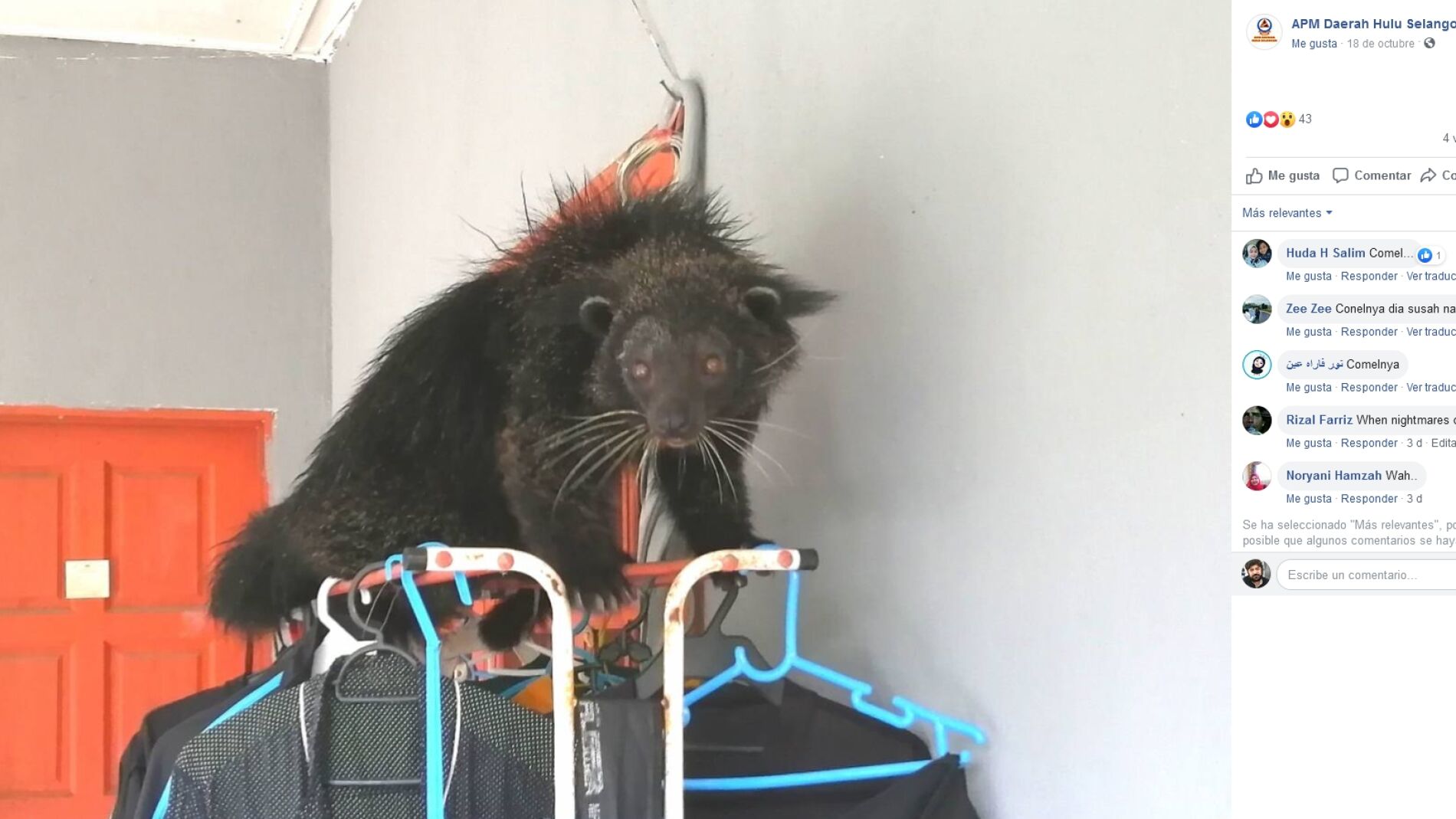 Facebook de la oficina local de las Fuerzas de Defensa Civil de Malasia