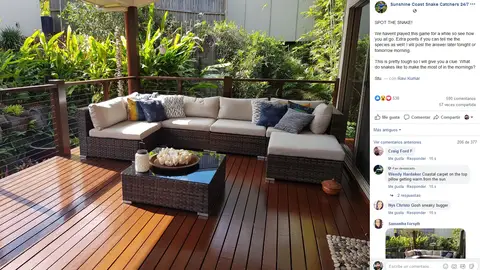 Serpiente escondida en la terraza Serpiente escondida en la terraza