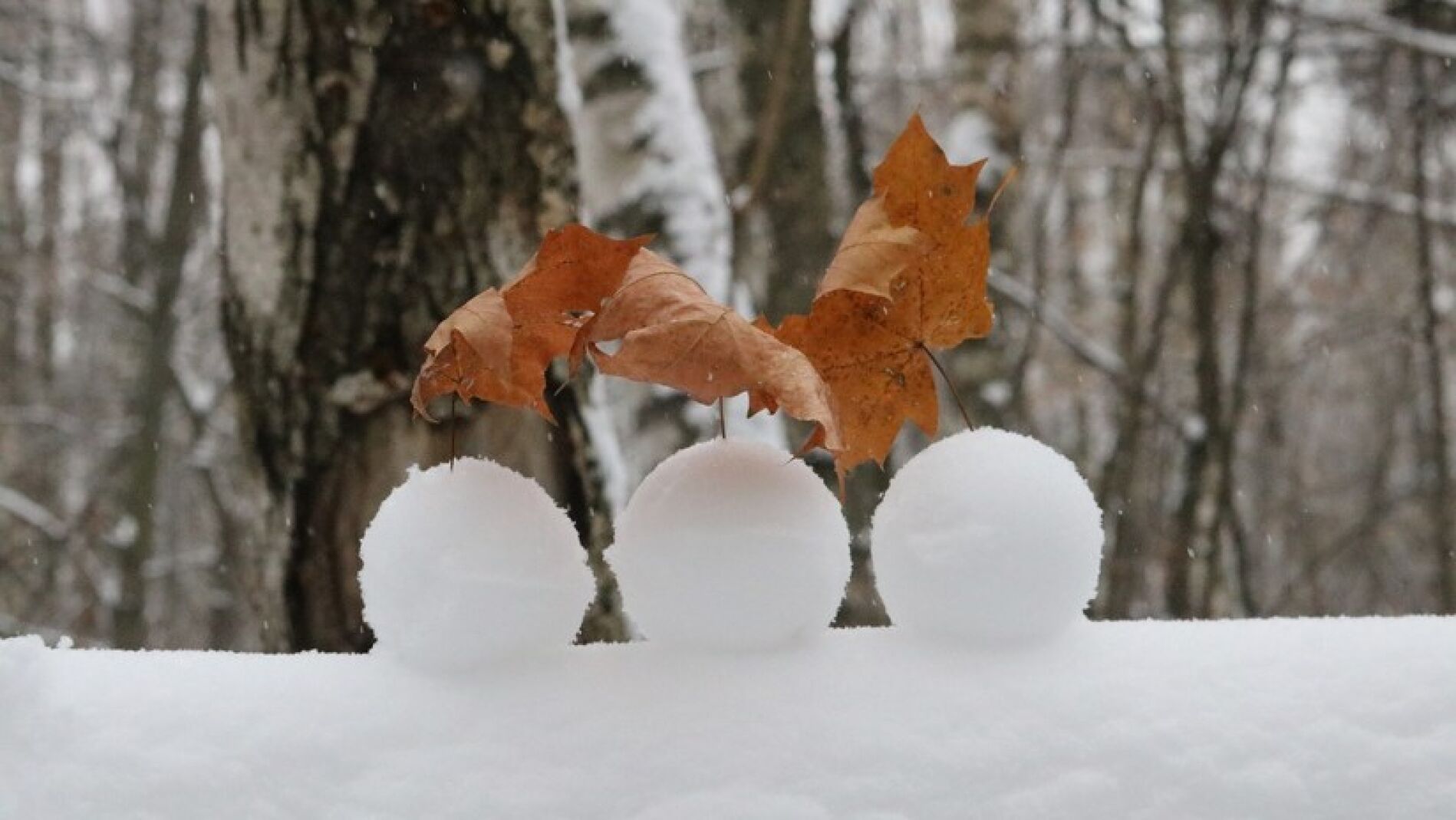 Bolas de nieve (archivo)