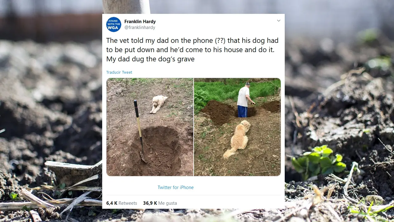 Tuit viral sobre el perro de su padre