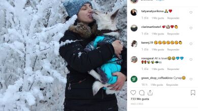 Rescataron a esta perra de la calle, intentaron lavarle las cejas y se llevaron una gran sorpresa