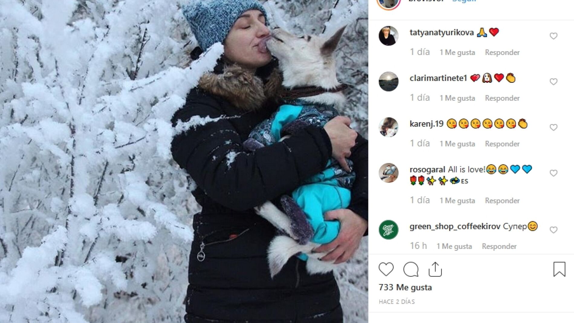 Perra con grandes cejas