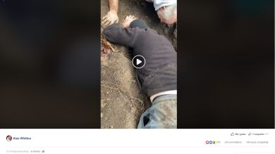 Pensó que había perdido a su perra para siempre pero cuando hizo sonar sus juguetes en el bosque escuchó su llanto