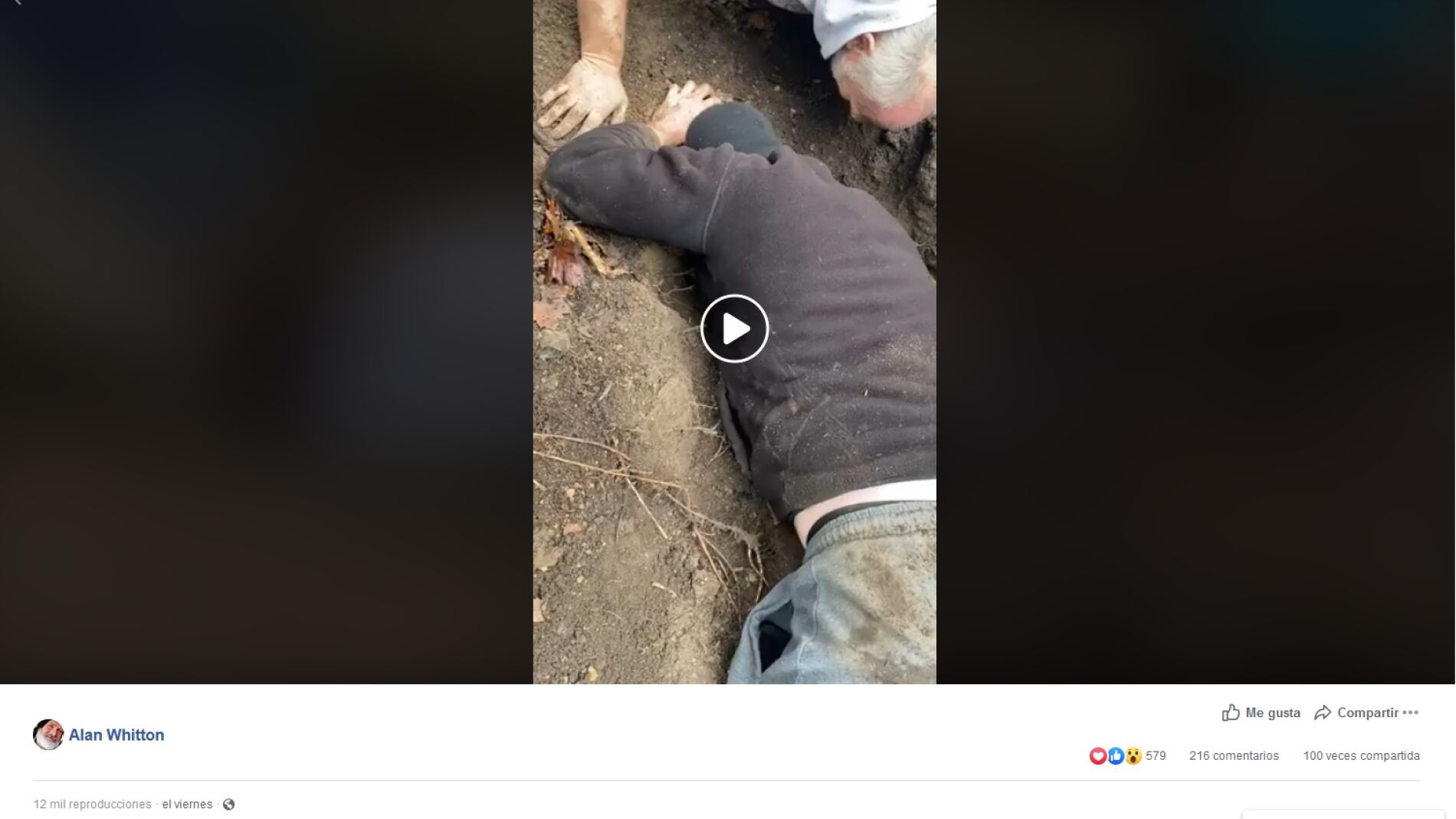 Rescataron a su perro