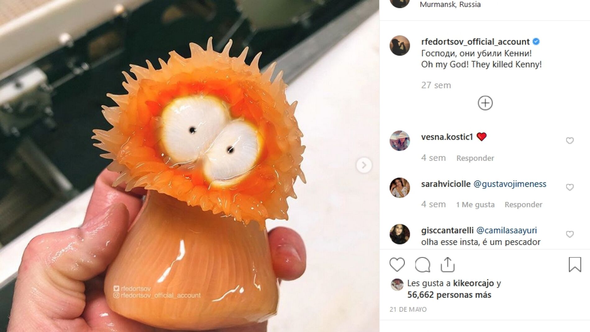 Sorprendentes criaturas del oc&eacute;ano