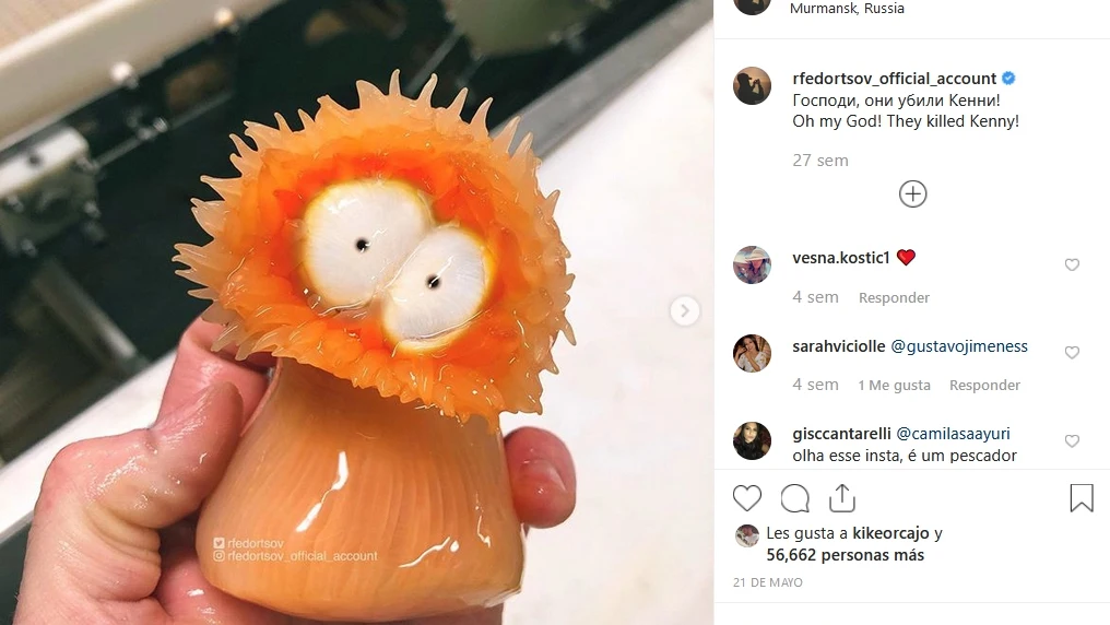 Sorprendentes criaturas del océano
