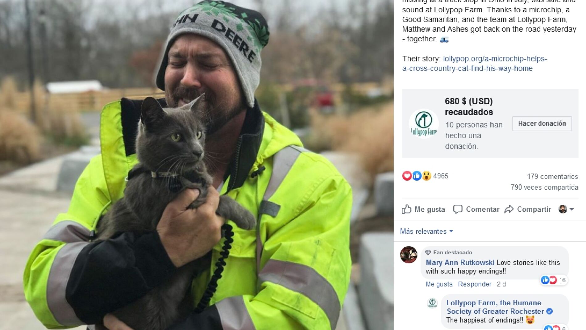 Encontraron a su gato perdido