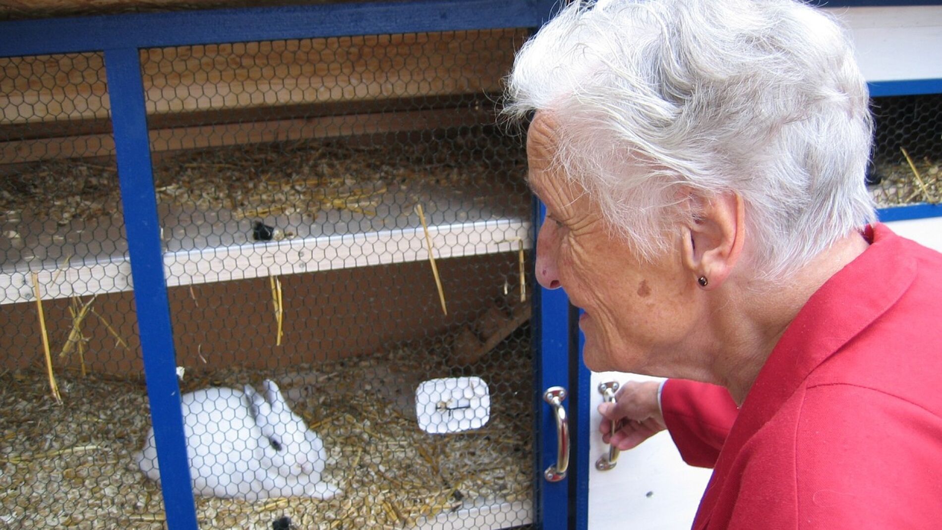Abuela (archivo)