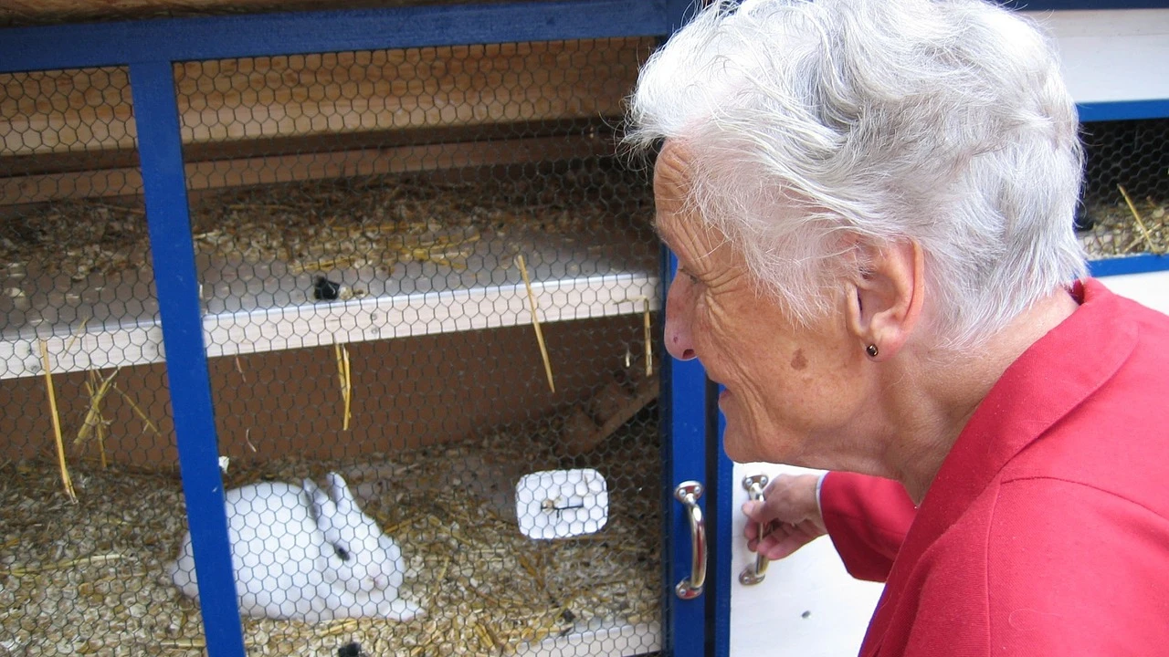 Abuela (archivo)