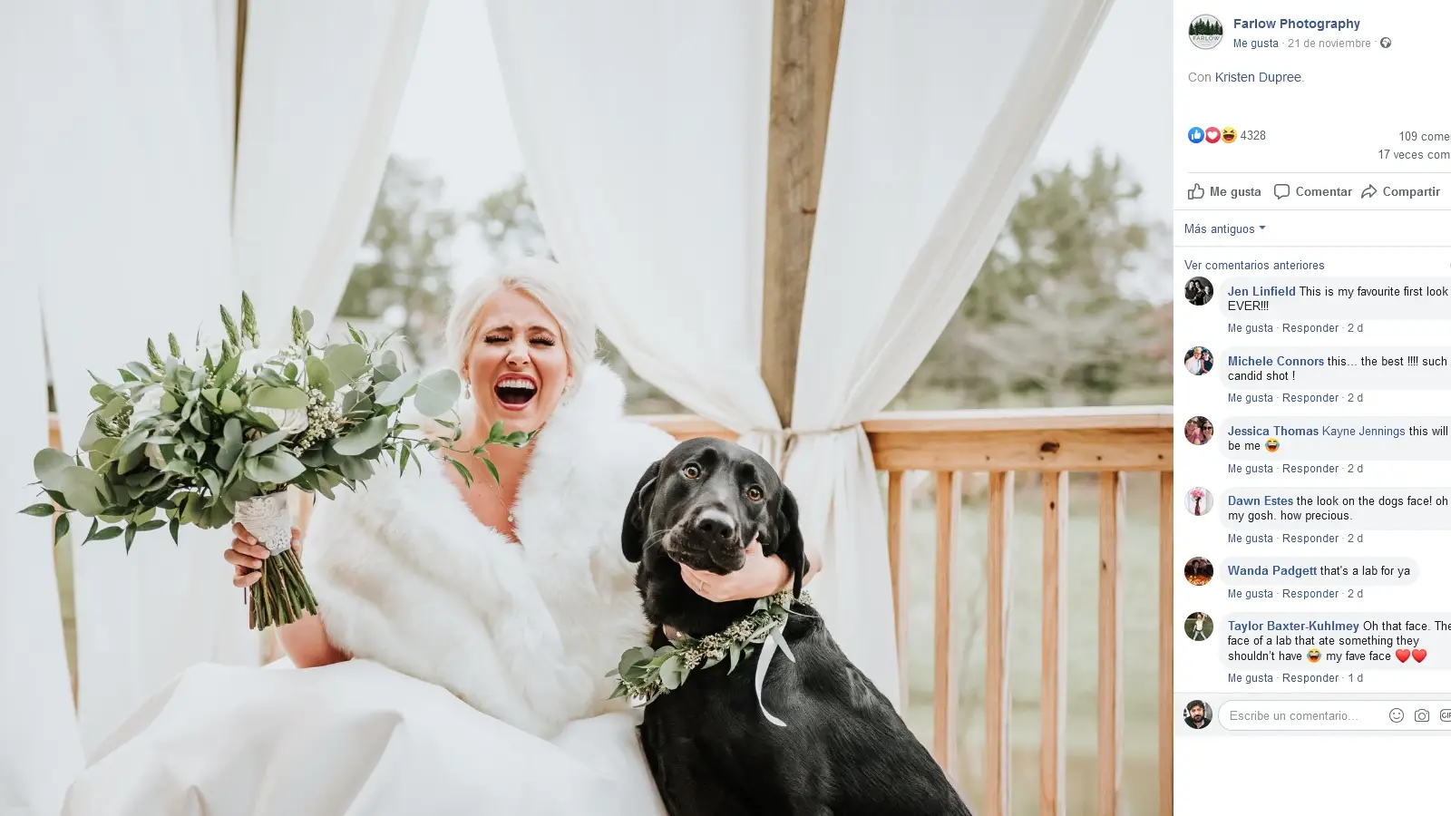Foto de una novia y su perro