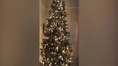 Gato escondido en el árbol de Navidad Gato escondido en el árbol de Navidad