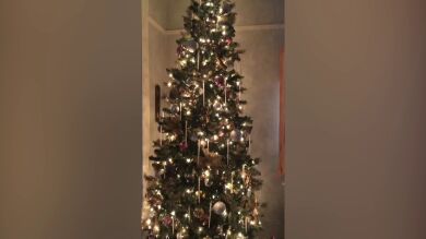 VÍDEO: ¿Puedes encontrar al gato que hay escondido dentro de este árbol de Navidad?