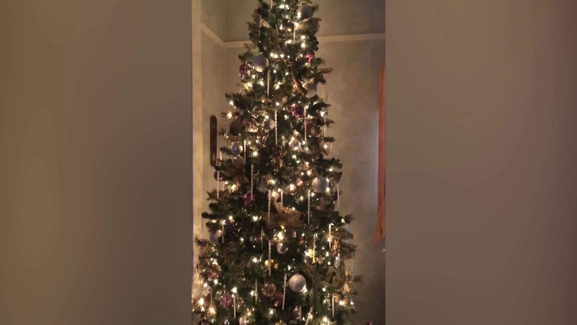 Gato escondido en el &aacute;rbol de Navidad