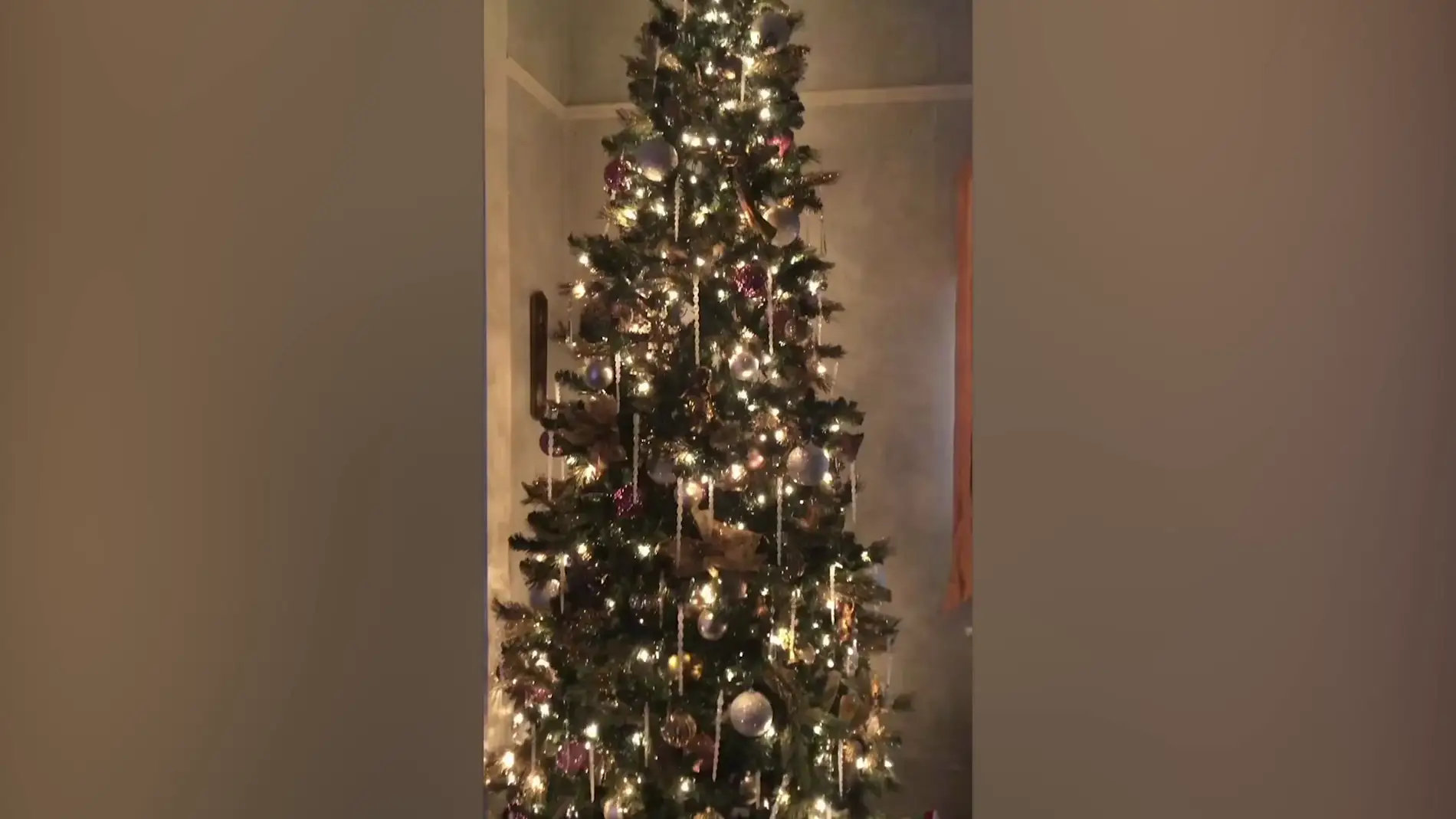 Gato escondido en el árbol de Navidad