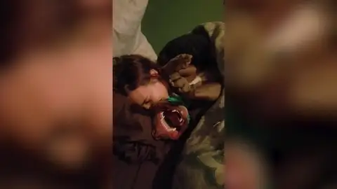 Perro con cosquillas Perro con cosquillas