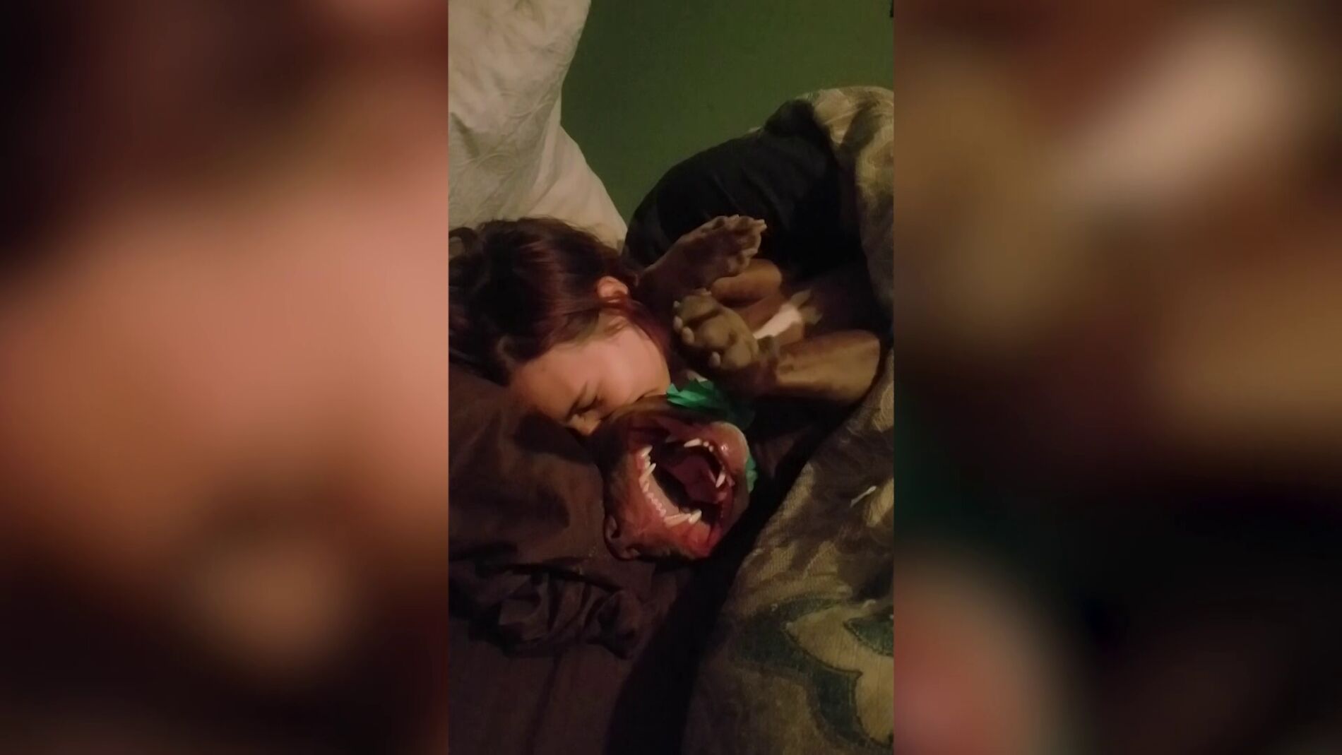 Perro con cosquillas