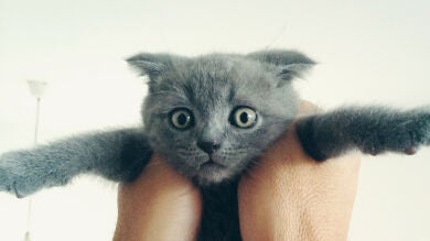 Horóscopo: ¿Qué humor tendrás esta semana?