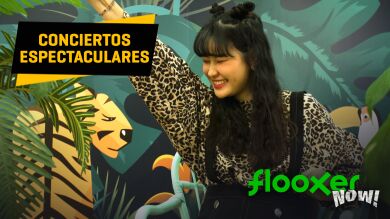 Los mayores conciertos y giras del K-pop, repasados por Hyemin