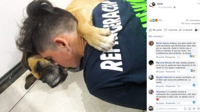 VÍDEO: Una perra murió en los brazos de su dueño a causa de la pirotecnia en Argentina