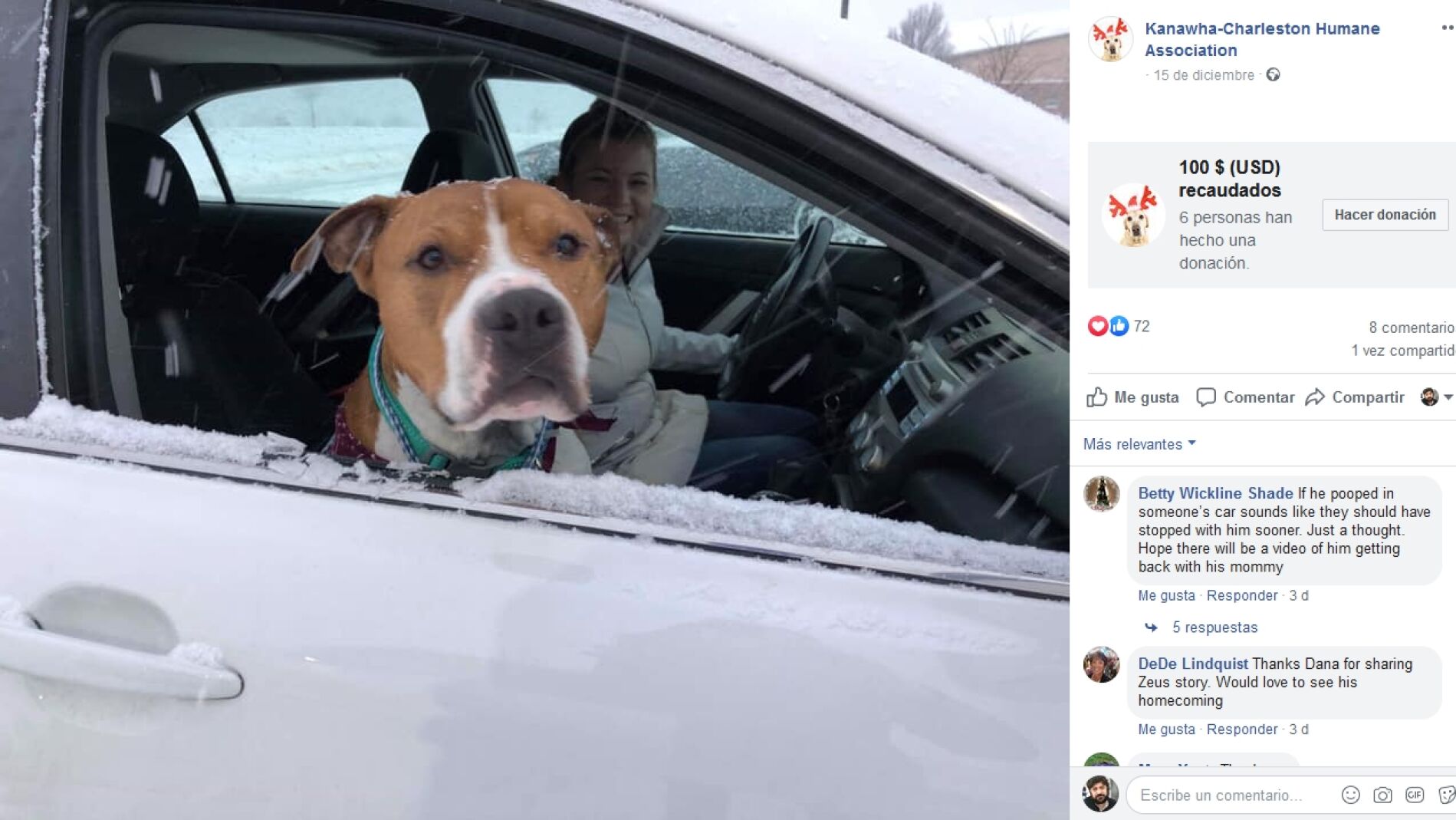 Perro vuelve a casa tras ser robado