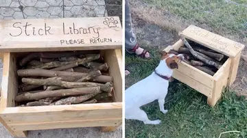Librería para perros
