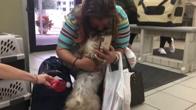 VÍDEO: El emocionante momento en que una mujer se reencuentra con su perro después de llevar tres años perdido