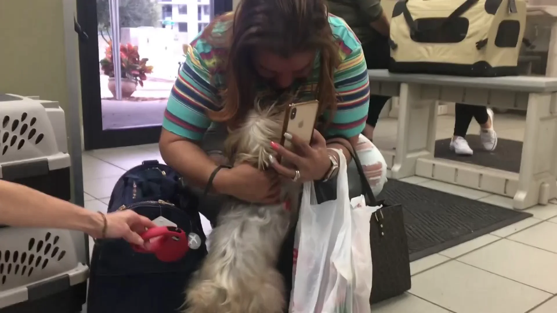 Una mujer se reúne con su perro perdido Una mujer se reúne con su perro perdido