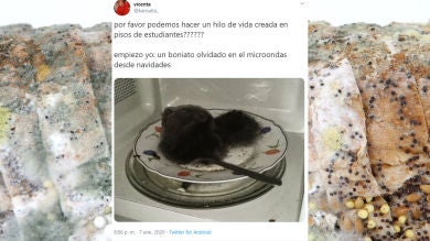 Un hilo de Twitter recoge los casos más impactantes de vida creada en pisos de estudiantes
