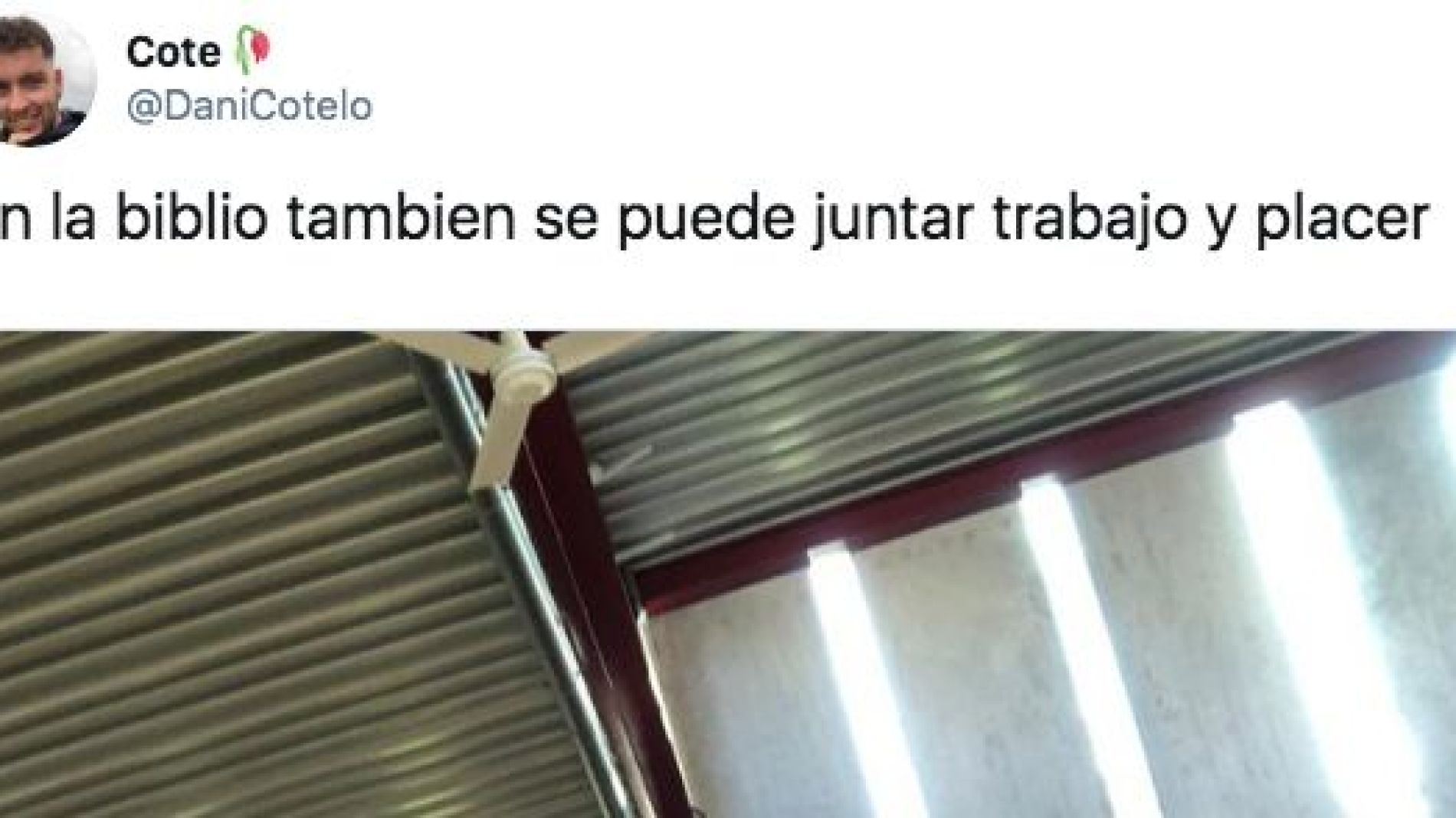 Twitter de @danicotelo