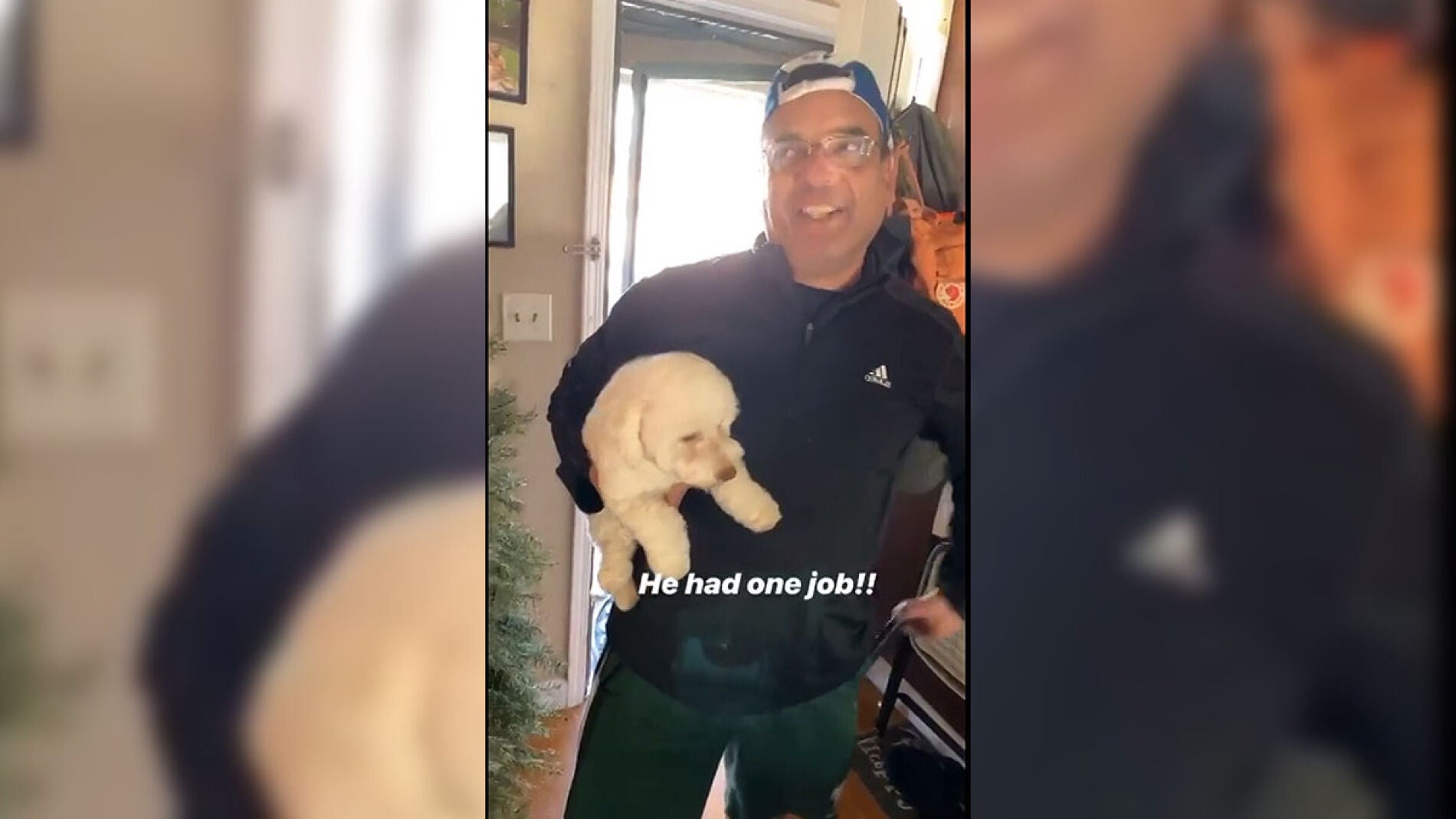 Confusi&oacute;n del hombre y su perro