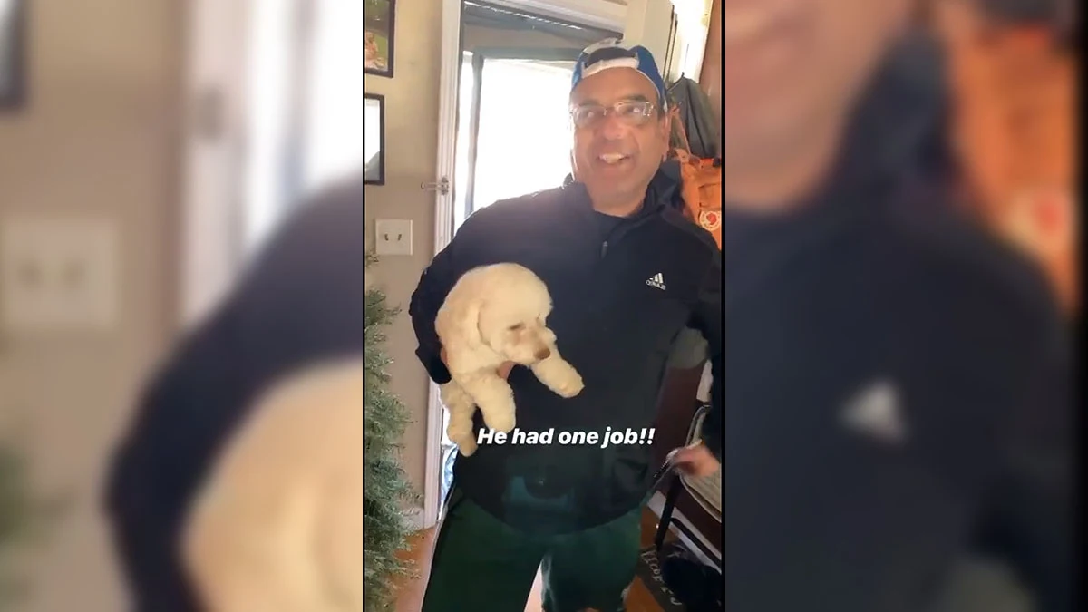 Confusión del hombre y su perro