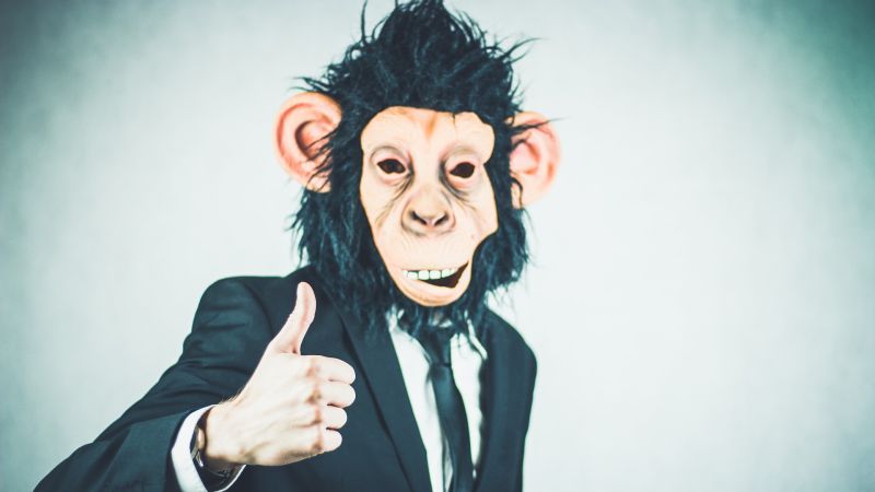 TEST: ¿estás preparado para ser “jefe”?