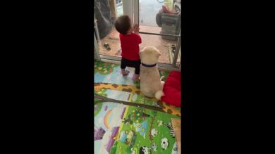 El adorable vídeo que demuestra que la relación entre niños y mascotas puede ser una auténtica amistad