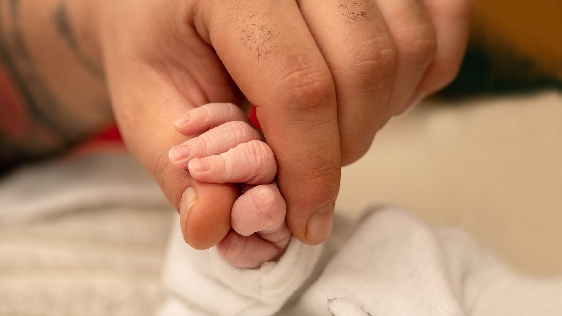 Un padre cogiendo la mano de su peque&ntilde;o 
