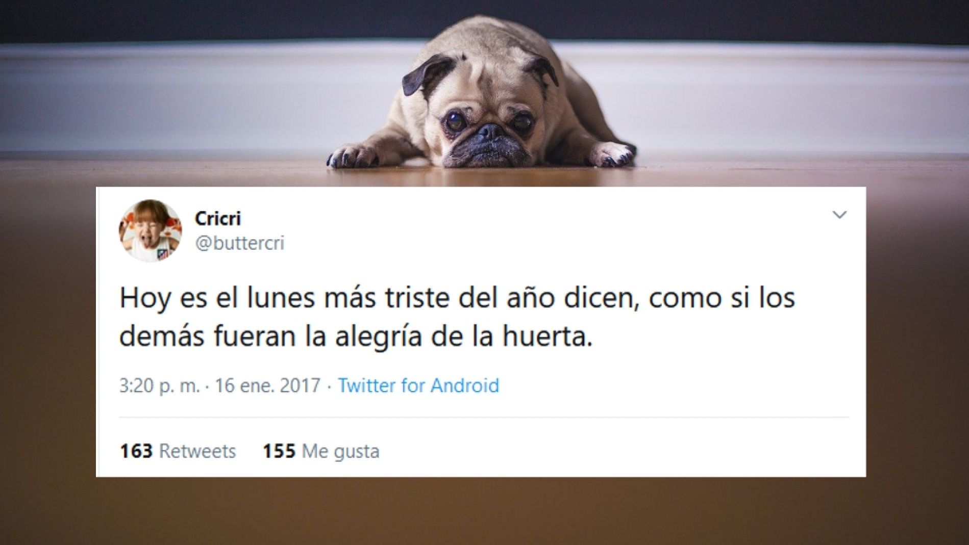 El lunes m&aacute;s triste del a&ntilde;o