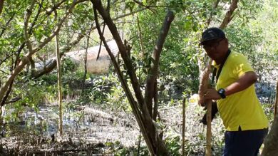 VÍDEO: Vecinos de un pueblo en Tailandia se sorprenden al encontrar esto cerca de la playa