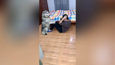 VÍDEO: Un perro ayuda a su dueño a hacer abdominales
