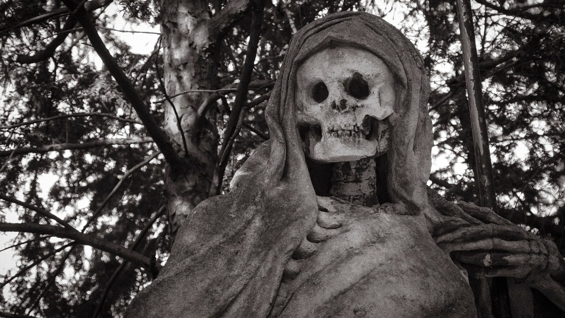 Un esqueleto (Archivo) 