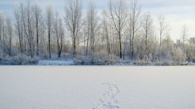 Deja ropa al aire libre en Siberia y se congela al instante