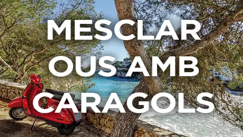 Palabras mallorquinas 14 Palabras mallorquinas 14