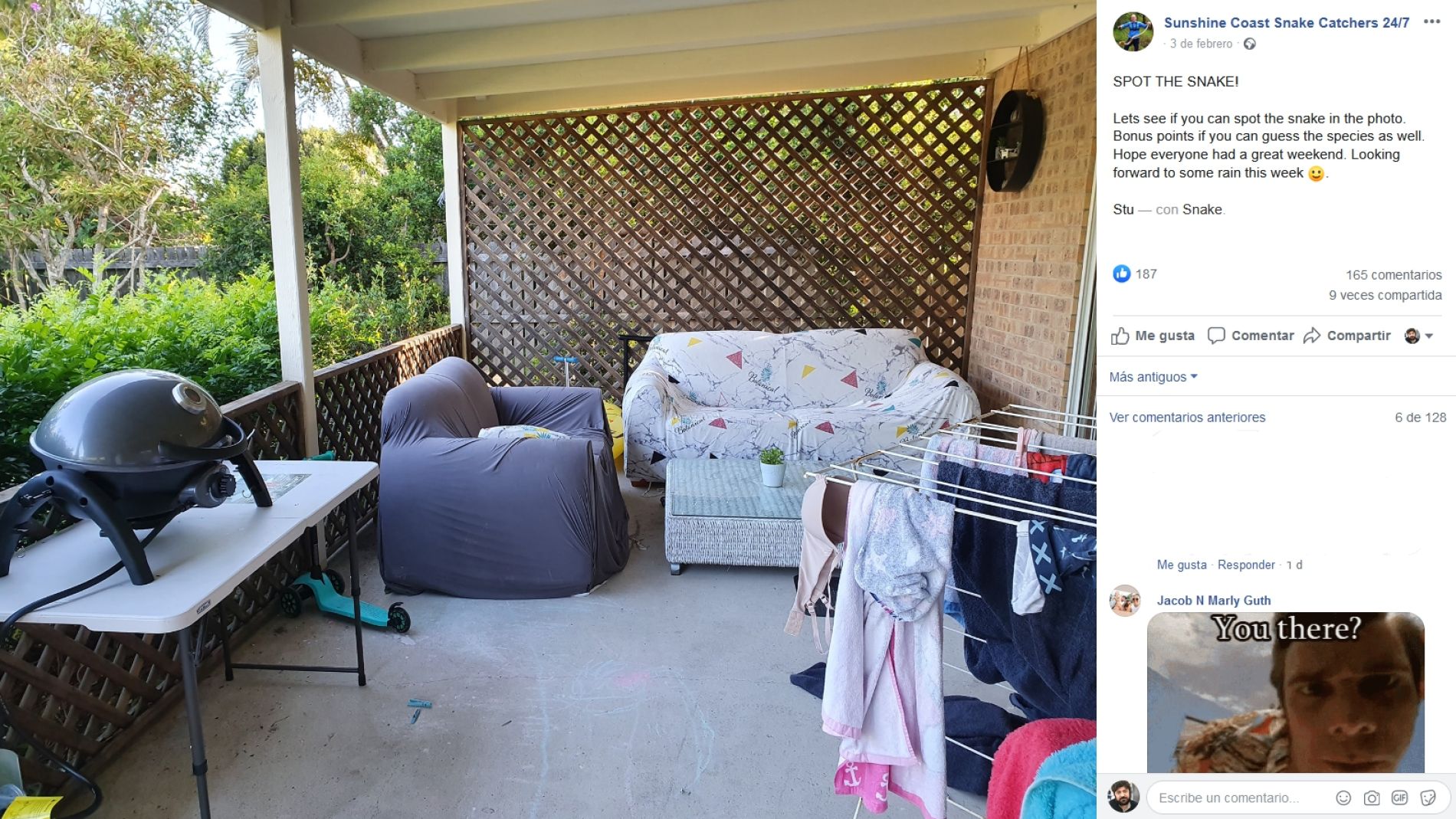 Serpiente escondida en el porche