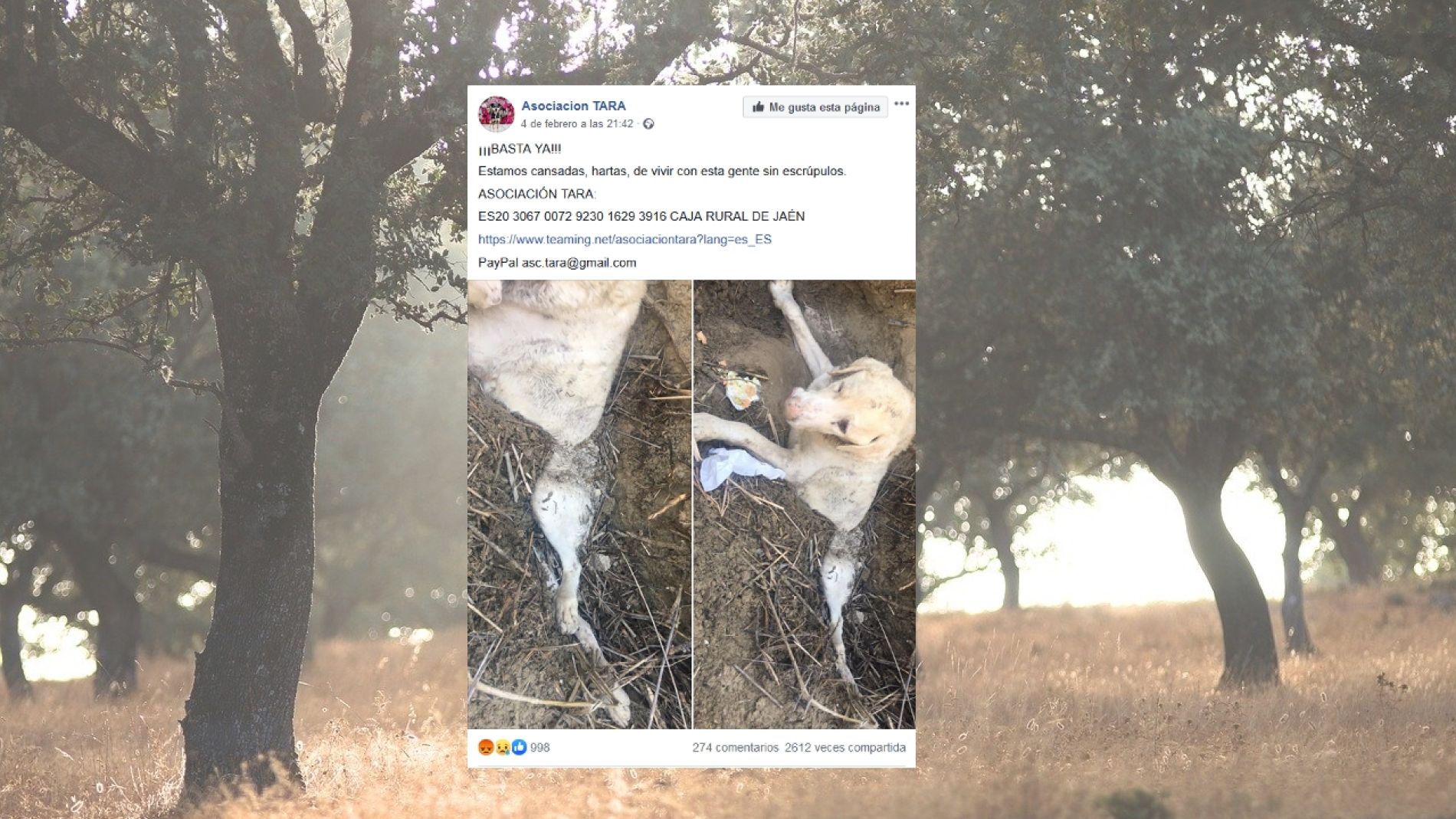 Facebook de la asociaci&oacute;n TARA