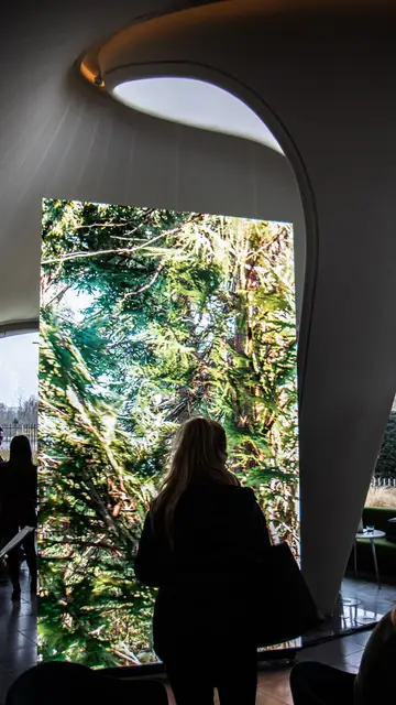 Una obra de la exposición Connect BTS Una obra de la exposición Connect BTS