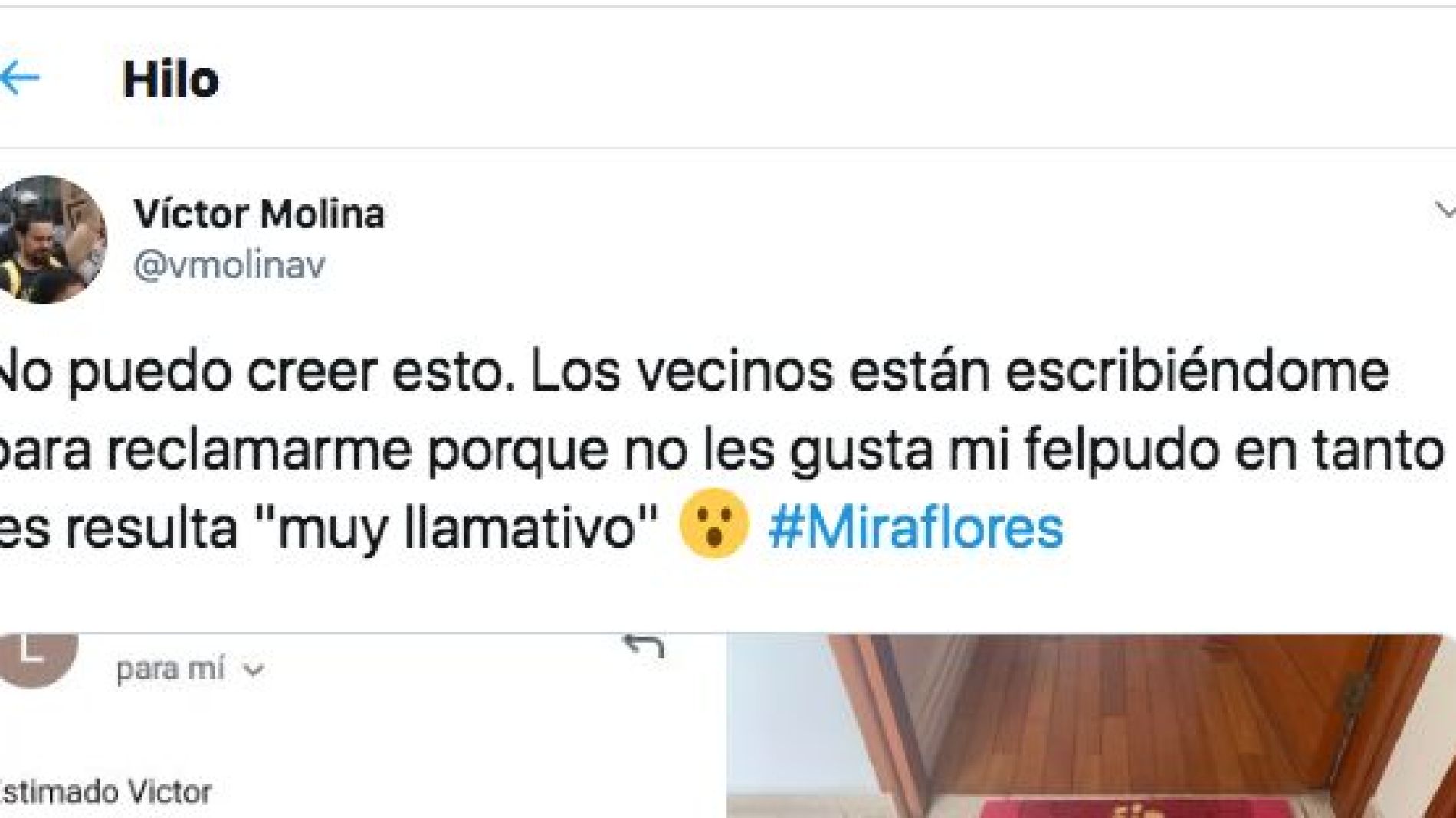 Pantallazo de un tuit de @vmolinav