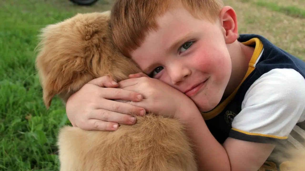 Un niño abraza a un perro en un parque 